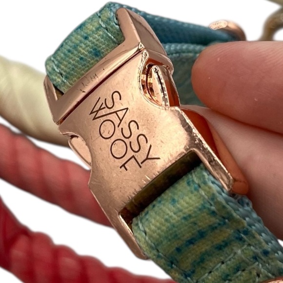 Sassy Woof Adjustable Harness, Rope Leash, and Collar Bundle - Picture 5 of 9